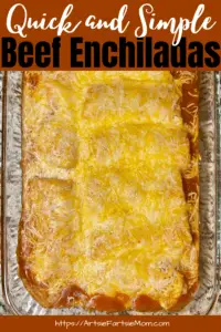 quick and simple beef enchilidas kid friendly